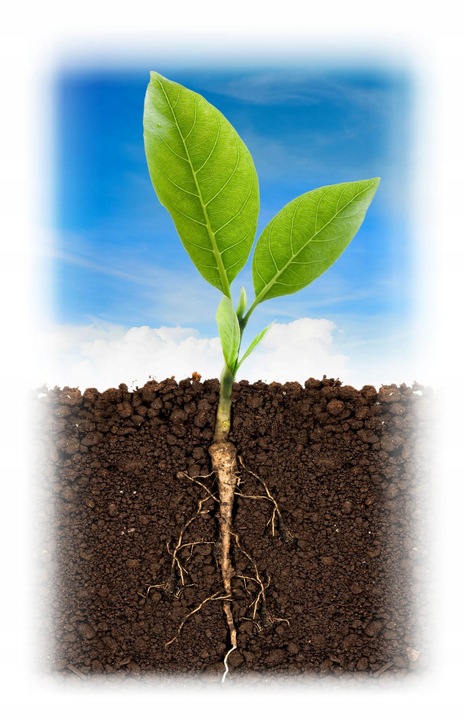 BIOVITA ZIEMIA UNIWERSALNA PODŁOŻE DO KWIATÓW Z NAWOZEM 80 L