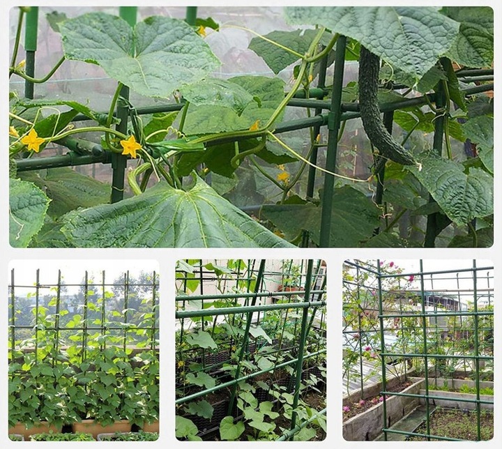 Podpora siatka do ogórków Pomidorów TYCZKA PALIK 7 Tyczek 150cm + Akcesoria