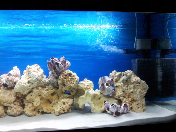 Naturalnie Biały Piasek Kwarcowy do Akwarium 0,5-1mm 24kg