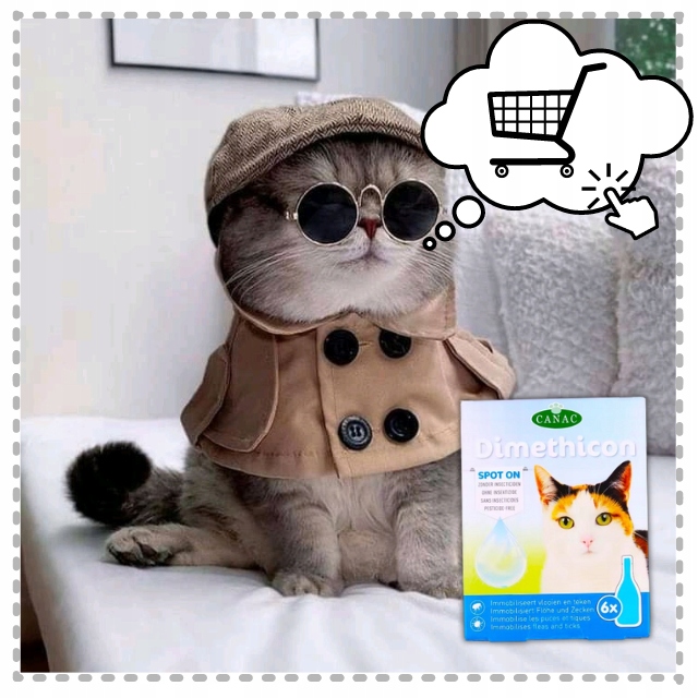 PREPARAT PRZECIW PCHŁOM I KLESZCZOM DLA KOTÓW NA KROPLE PCHŁY I KLESZCZE