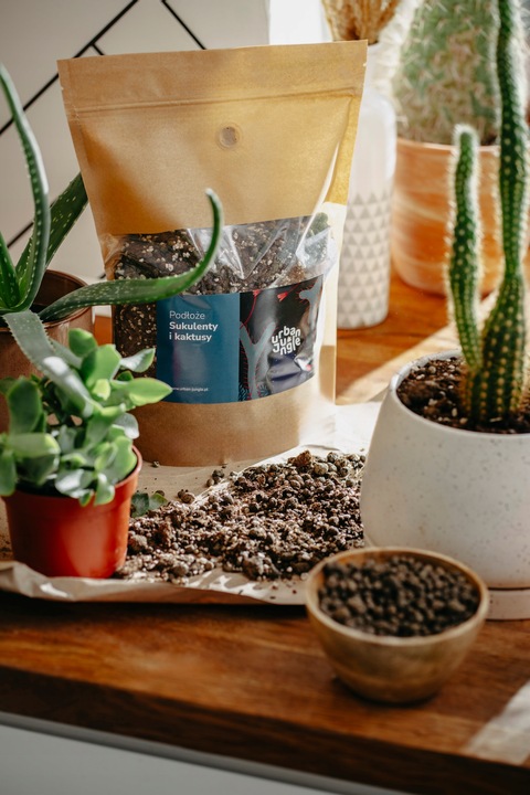 Ziemia do SUKULENTÓW i KAKTUSÓW 5L bigos, podłoże