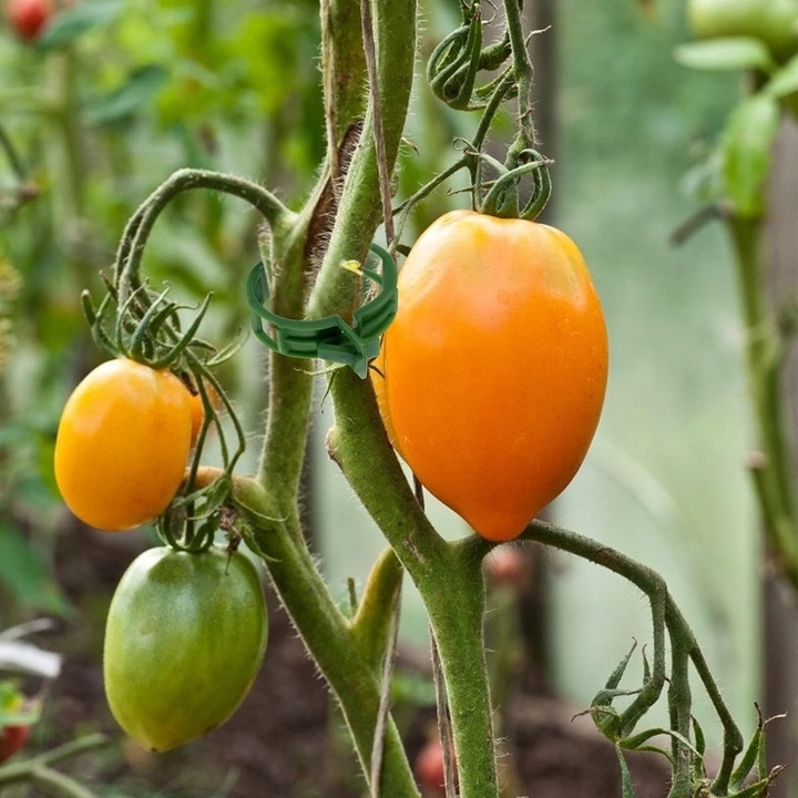 ZAPINKI KLIPSY UCHWYT SPINACZ DO ŁODYG POMIDORÓW FASOLI PĘDÓW 100