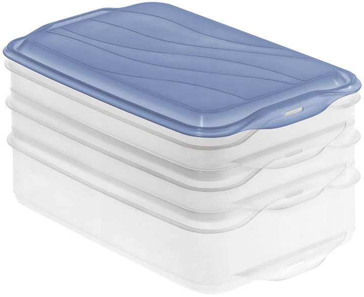 ROTHO POJEMNIK NA ŻYWNOŚĆ NA WĘDLINY SER PLASTIKOWY 3w1 2,85L RONDO