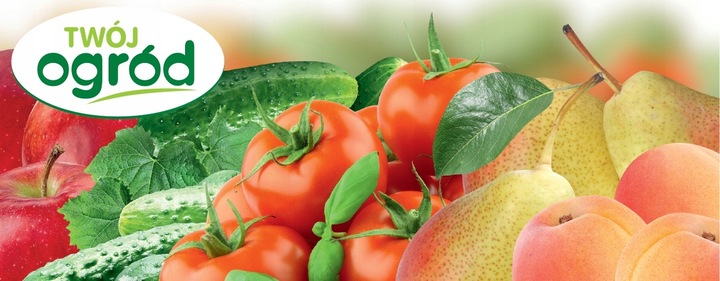 MIEDZIAN 50WP 100G + SYLLIT 65WP 45G NA CHOROBY GRZYBOWE OWOCÓW I