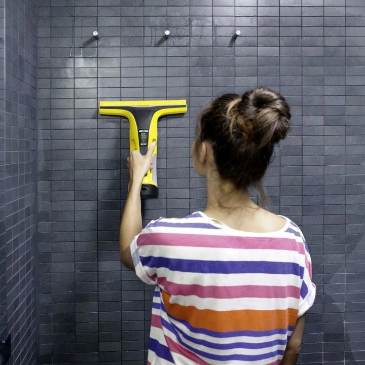 Myjka do okien Karcher WV 6 Plus + Płyn do okien RM 500 0,5L