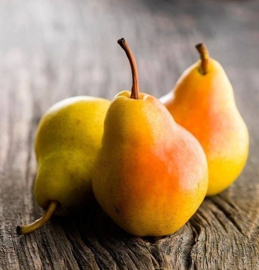 Grusza KLAPSA dobrze nam znana PYSZNA FAWORYTKA