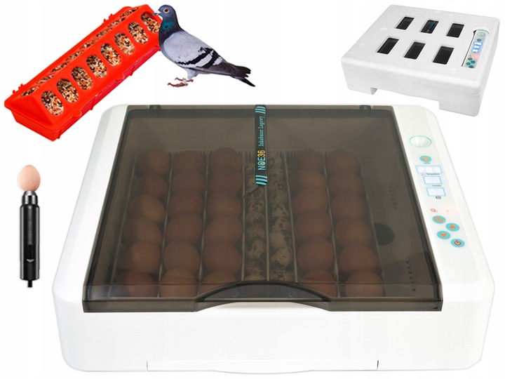 Inkubator Automatyczny NOE36 dla GĘSI kaczek INDYKÓW gołębi KLUJNIK AUTOMAT