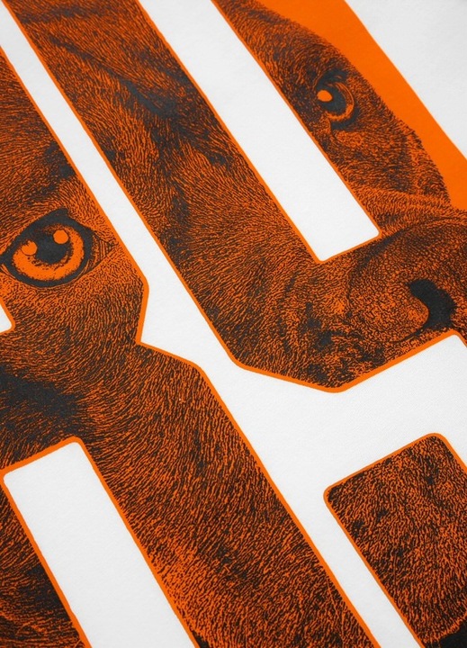 KOSZULKA MĘSKA PIT BULL T-SHIRT PODKOSZULEK BLUZKA PITBULL