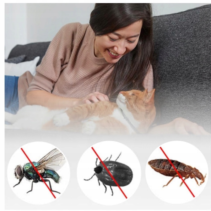 Obroża na pchły i kleszcze dla kota w wieku 8 miesięcy 32 CM