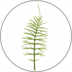 Maska do włosów farbowanych blond i na skórę głowy, Wax Kamilla 480ml