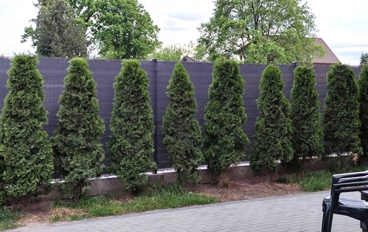 SIATKA CIENIUJĄCA 1,2x50m MASKUJĄCA 90% OSŁONA MATA NA OGRODZENIE PŁOT +UV