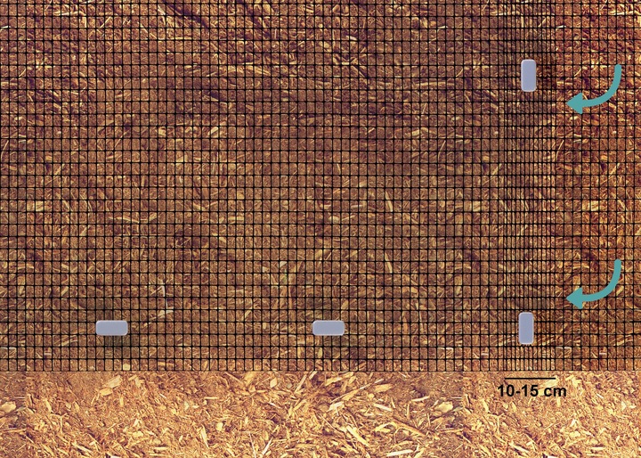 SIATKA NA KRETY 2x200m POLSKA 30g POD TRAWNIK PRZECIW KRETOM NORNICE