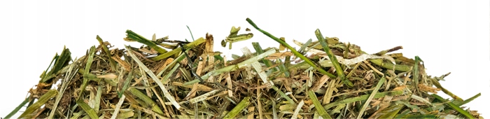 Sieczka Hartog Lucerne Mix 18 kg sieczka dla koni z lucerny