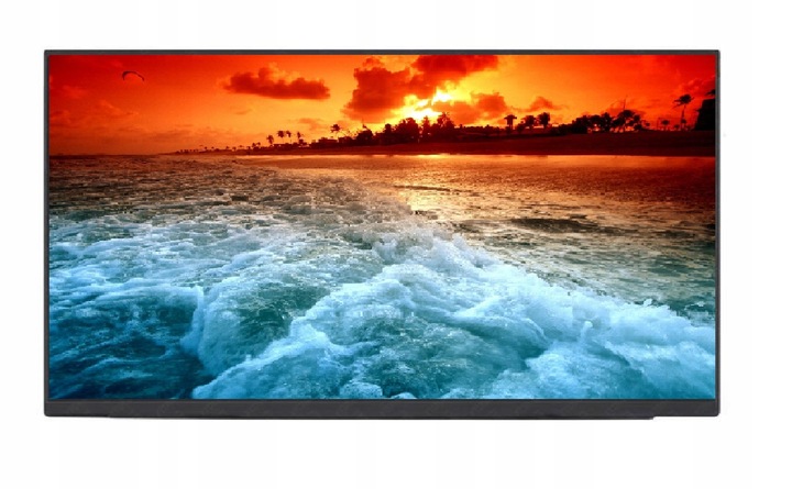 MATRYCA DO LAPTOPA LM156LFEL01