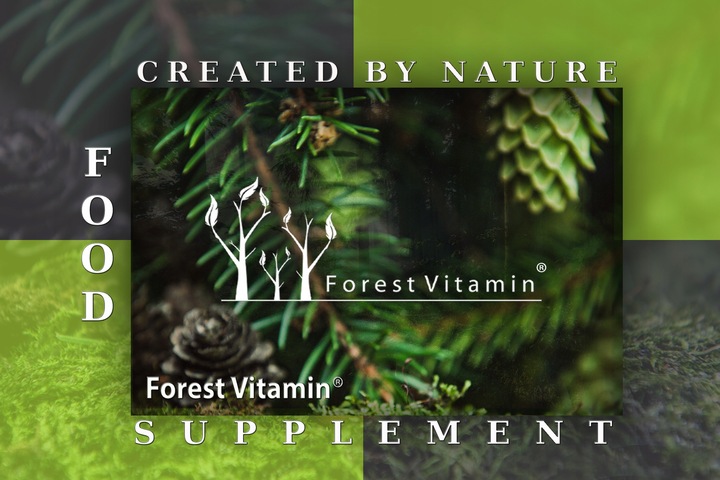 FOREST KWERCETYNA NATURALNY EKSTRAKT 400mg 100 kap