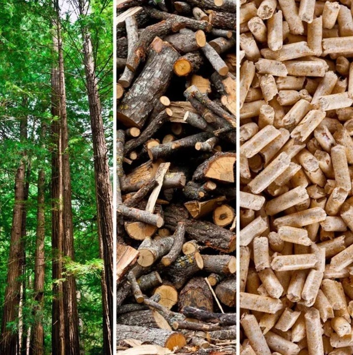 Żwirek dla kota królika chomika świnki Drewniany Jasny naturalny 15 kg