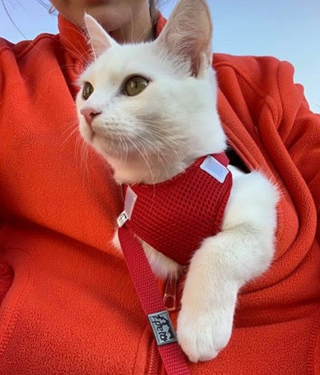 Pelo Szelki-Pelki bezuciskowe oddychające 24w /r2