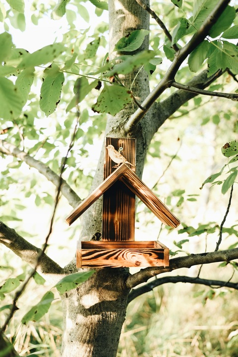 DREWNIANY karmnik dla PTAKÓW budka góralski POLSKI HIT DOMEK