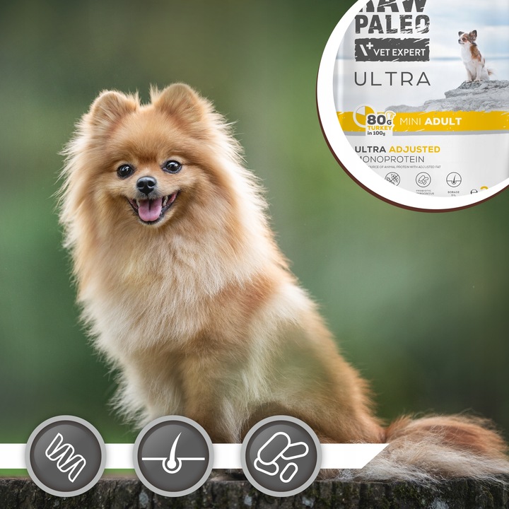 RAW PALEO ULTRA TURKEY ADULT MINI 2kg-sucha karma indyk dla psów ras małych