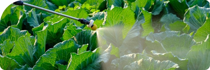 MOSPILAN 20SP 40G ŚRODEK PREPARAT OWADOBÓJCZY NA MSZYCĘ ĆMĘ SZKODNIKI