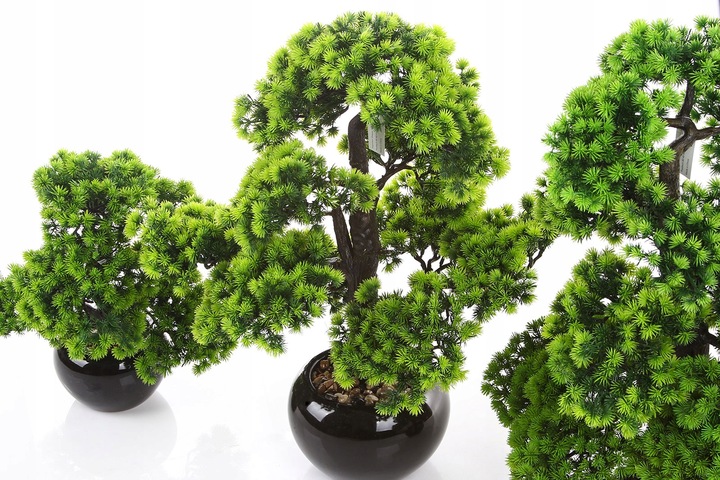 sztuczne drzewko BONSAI LARCH 48x35 modrzew w ceramicznej czarnej doniczce