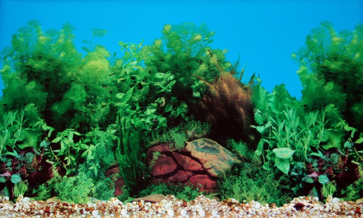 AKWARIUM 60x30x40 PROSTY 72L POKRYWA AQUAEL LEDDY DZIEŃ + NOC + WYPOSAŻENIE