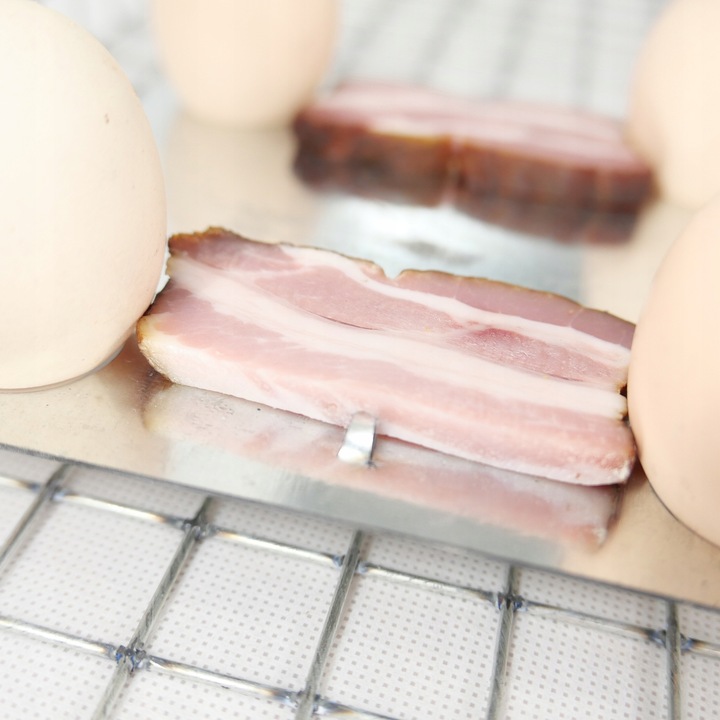 ŻYWOŁAPKA PUŁAPKA NA KUNY SZCZURY ŁASICE NORKI TCHÓRZE ŁASKI ŁAPKA