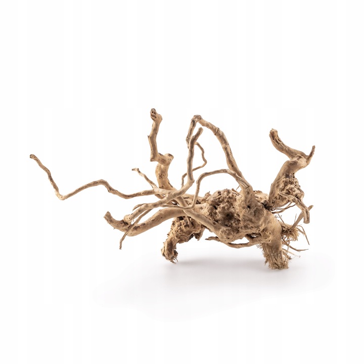 KORZEŃ DO AKWARIUM Red Moor Wood M 30cm OKAZY PREMIUM