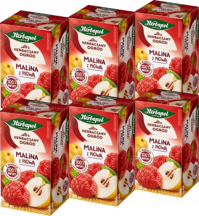 (x6) HERBAPOL Herbata Malina Pigwa 20tb