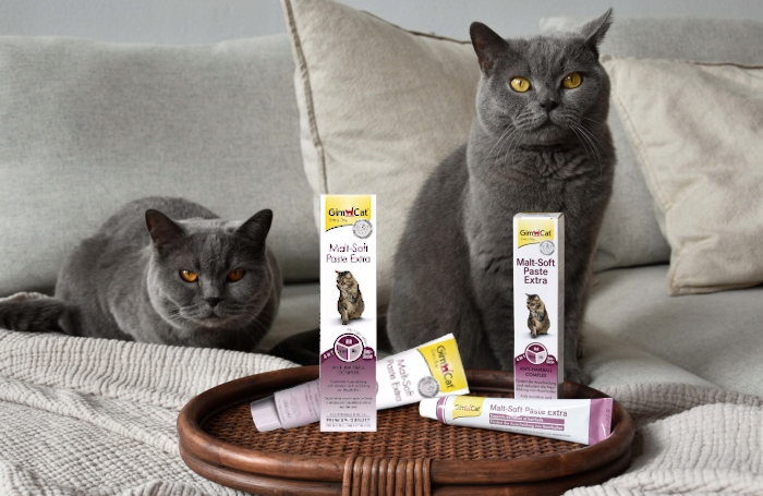 GIMCAT PASTA ODKŁACZAJĄCA DLA KOTA MALT SOFT 400g