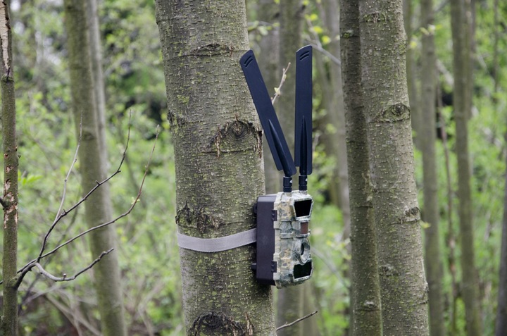 Kamera Leśna FOTOPUŁAPKA Myśliwska FHD GSM 4G LTE MMS wysyła FILMY