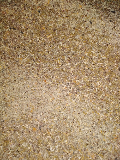 Pasza dla kur niosek 25kg Naturalna ZIARNO