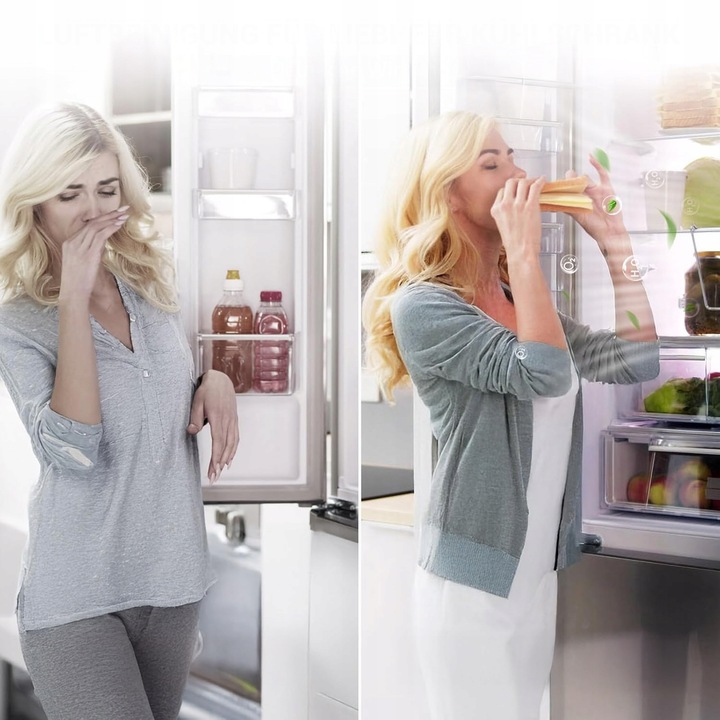 2x Filtr powietrza z węglem aktywnym za 909698900 do lodówki Liebherr