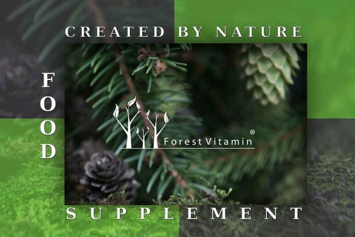 FOREST WITAMINA K2 MK-7 500mcg 100 tab NATURALNA