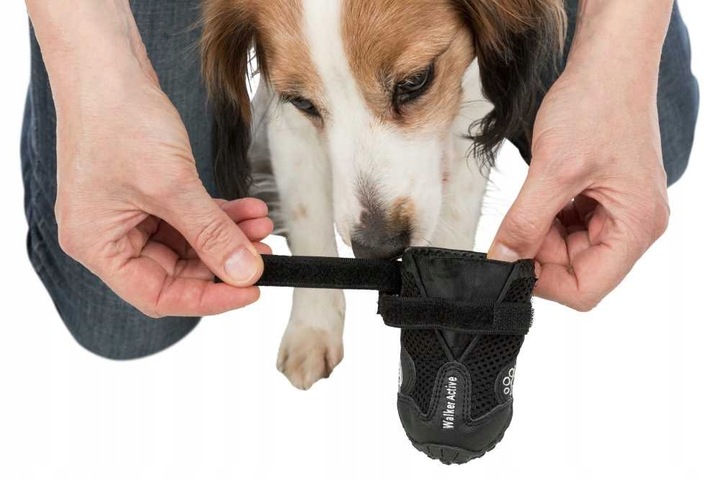 Trixie BUTY OCHRONNE Walker Active dla Psa M-L 2sz