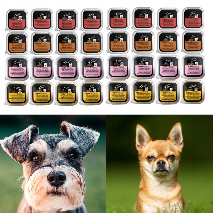 Karma Mokra dla Psa Cesar Natural Goodness mix smaków 34 szt x 100g