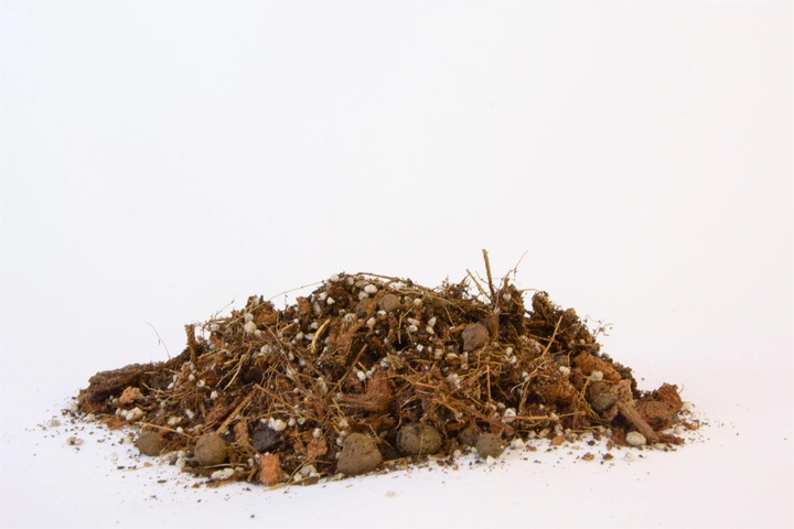 IMSOIL Ziemia Dedykowana do ALOKAZJI 10L