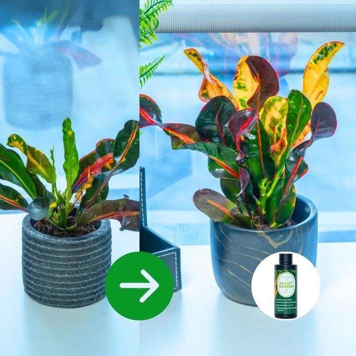 CocaBooster - STYMULATOR WZROSTU - Nawóz Odżywka Specjalistyczny