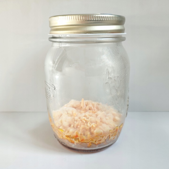 Maczużnik bojowy Cordyceps militaris substrat do uprawy grzybów