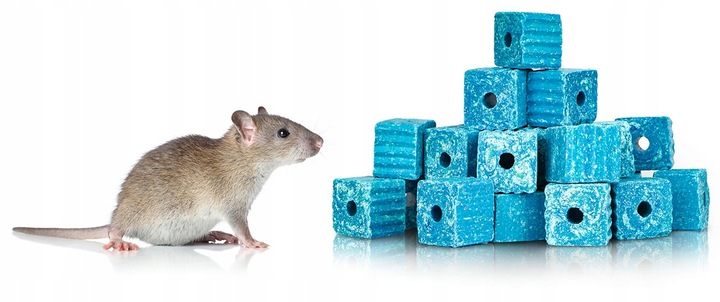 SILNA TRUTKA NA MYSZY I SZCZURY MURIBROM BRODIFAKUM KOSTKA WOSKOWA 1,5