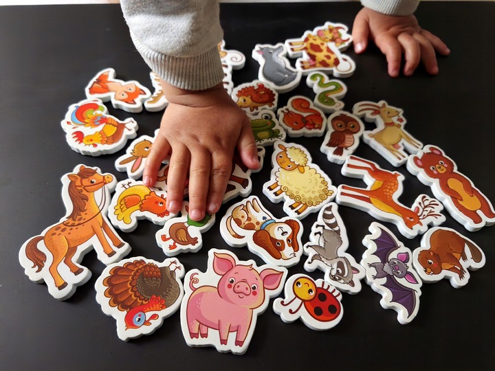 MAGNESY NA LODÓWKĘ DLA DZIECI ZESTAW EDUKACYJNY ZWIERZĘTA PREZENT 30