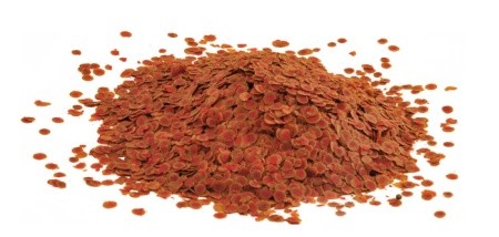 TETRA PRO COLOUR COLOR 1000ML 190g UZUPEŁNIENIE