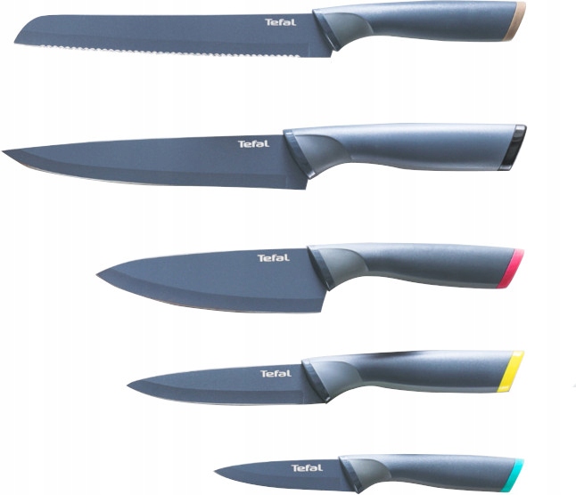 Noże w bloku TEFAL Fresh Kitchen 6el stal