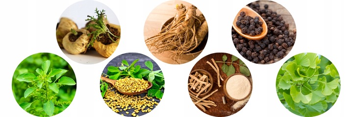 TESTOSTERON tabletki | Naturalny Booster TESTOSTERONU | ManLife TestoBear