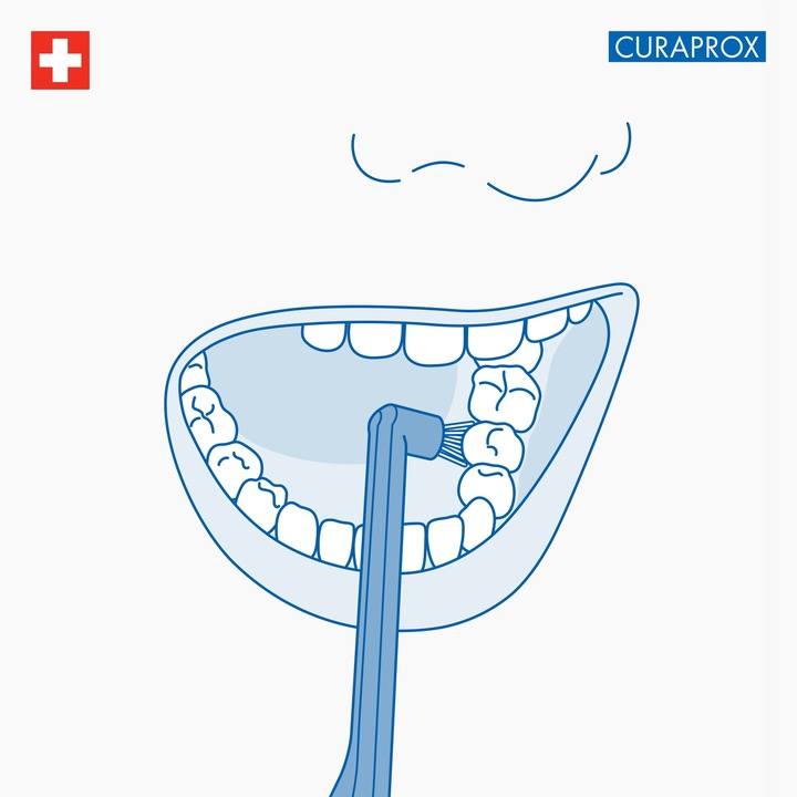 CURAPROX SZCZOTECZKA DO ZĘBÓW CS 1006 SINGLE BLISTER