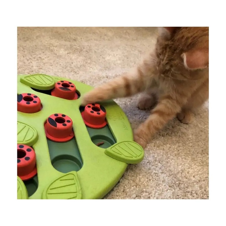 Nina Ottosson Cat Buggin' Out Puzzle & Play