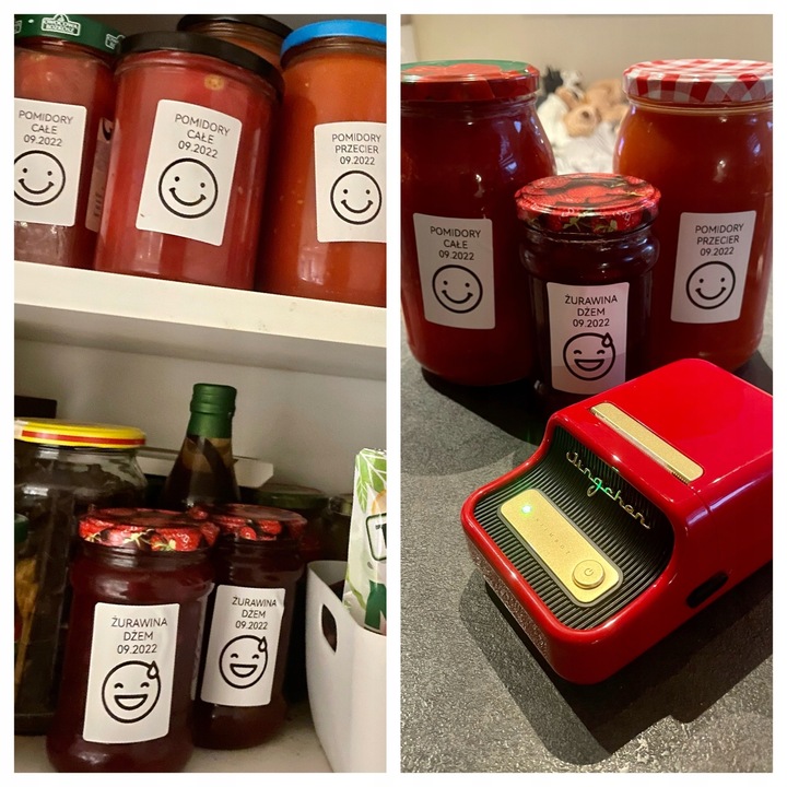 NIIMBOT B21 Drukarka Termiczna NAKLEJKI Bluetooth + POKROWIEC na DRUKARKĘ