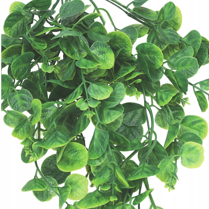 EUKALIPTUS ZWISAJĄCE GĘSTE PNĄCZE GAŁĄZKI KASKADA GIRLANDA BLUSZCZ 5gał