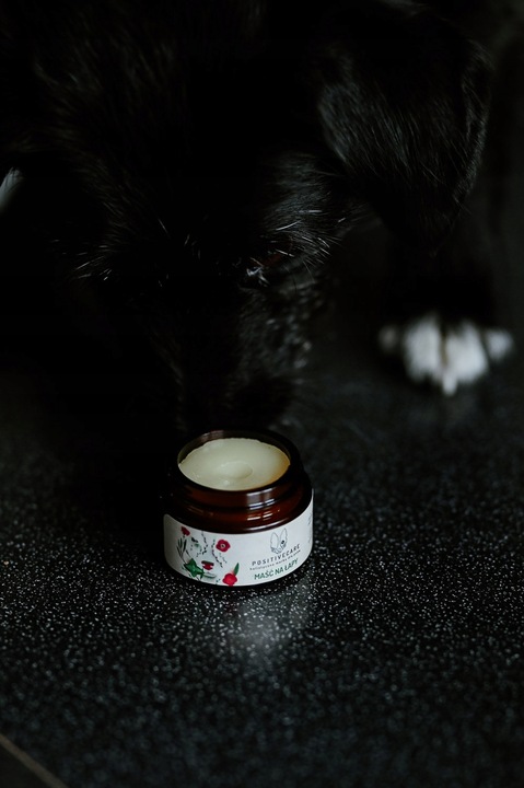 Naturalna maść na łapy dla psa