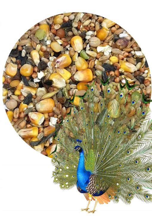 Zdrowa i Smaczna Karma dla Pawi 20kg